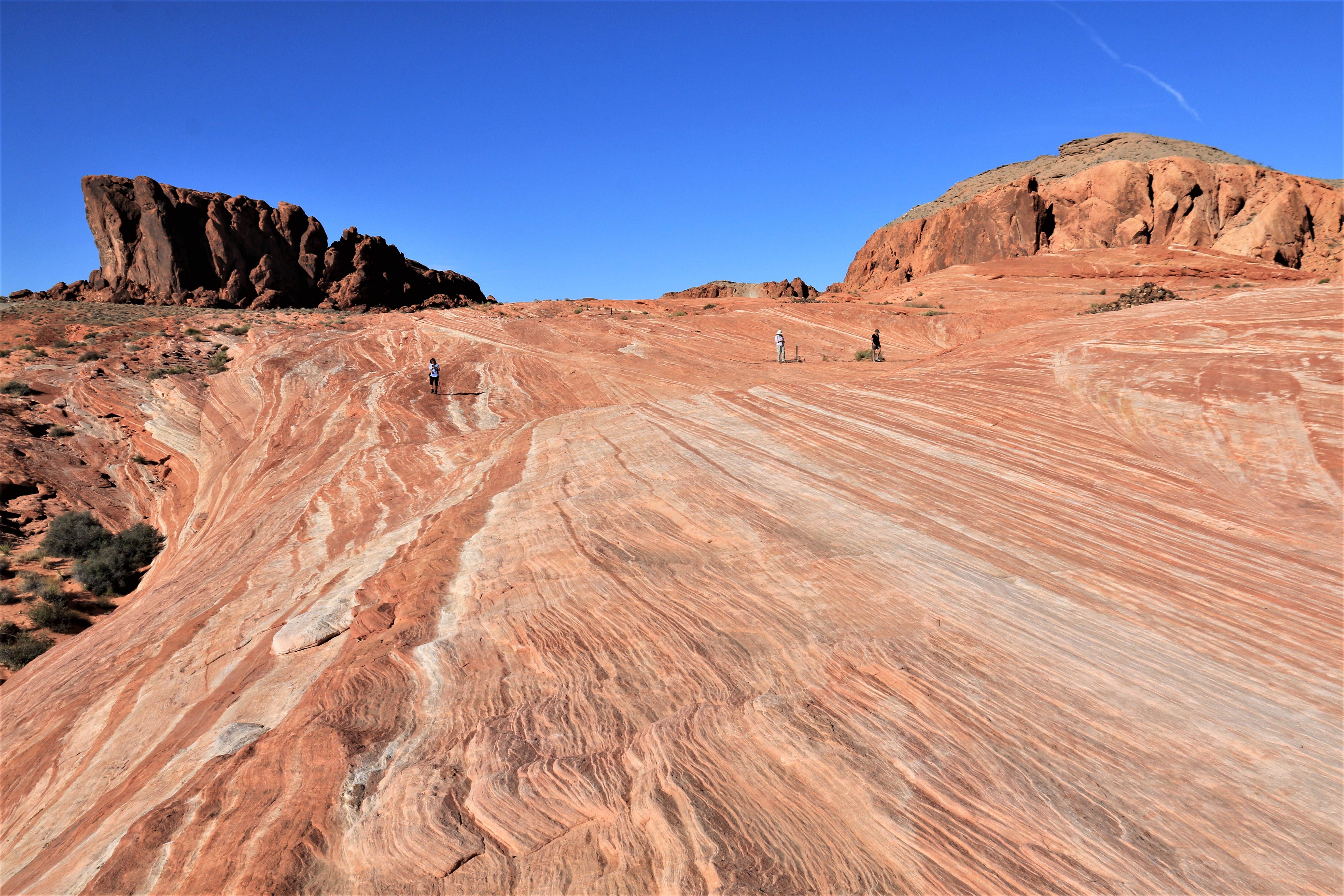 Nevada
